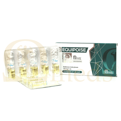 Equipoise (Boldenone Undecylenate) - 10amps (250mg/ml)